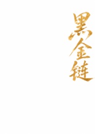 黑金链条包大号